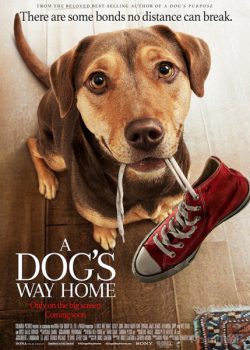[PHIMGI.NET] ĐƯỜNG VỀ NHÀ CỦA CÚN CON - A DOG'S WAY HOME Full HD VIETSUB (2019)